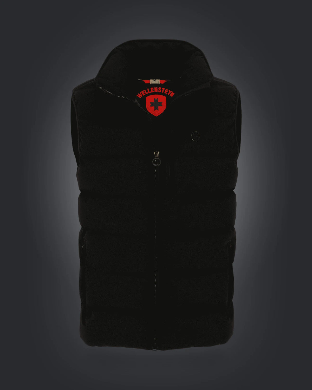 BBSV-565-SW_1s3.webp