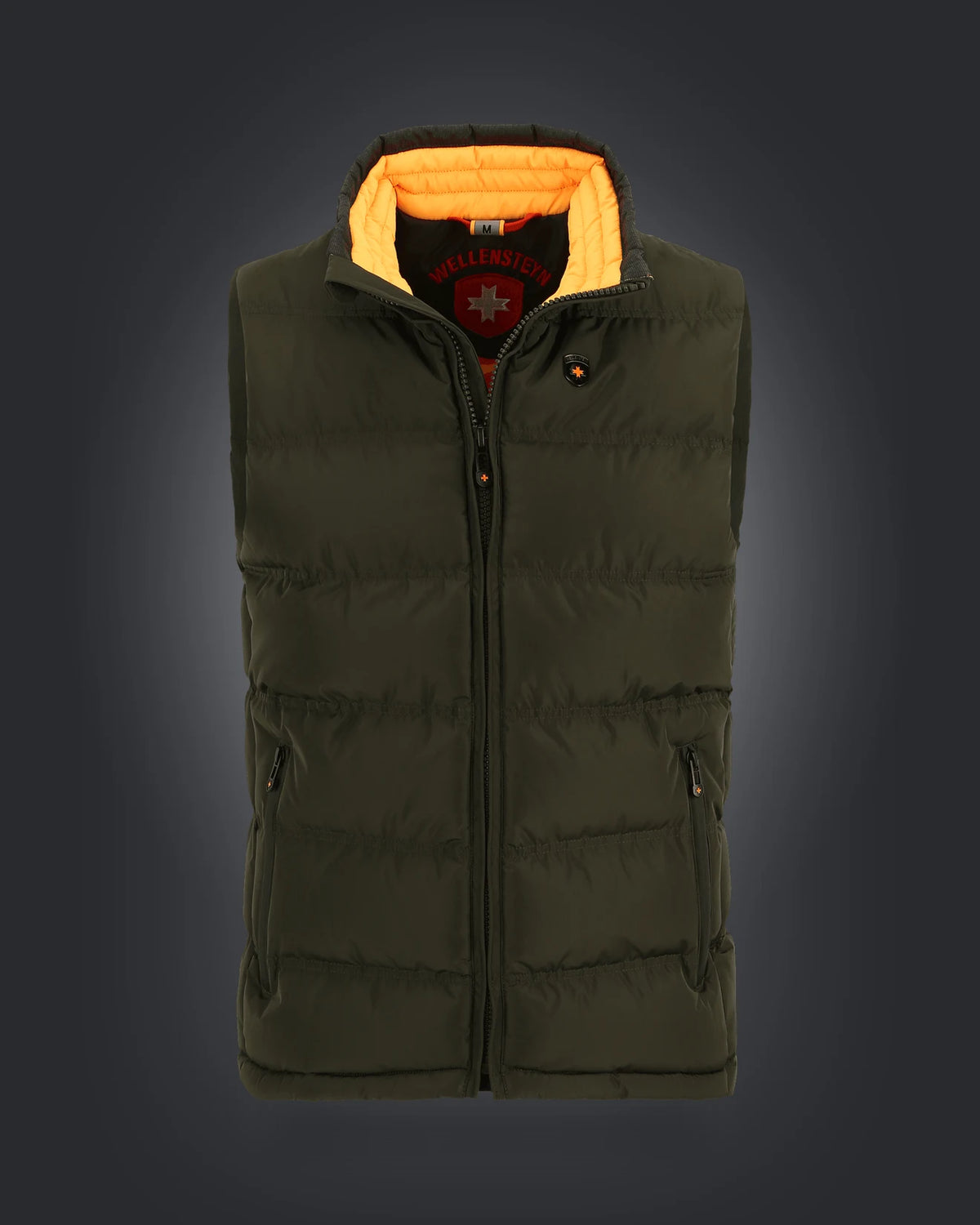Snowdome Vest Men,560,Darkarmy