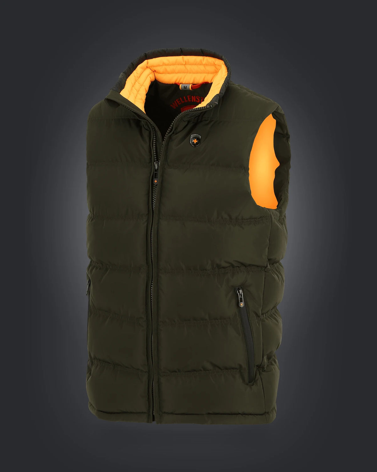Snowdome Vest Men,560,Darkarmy