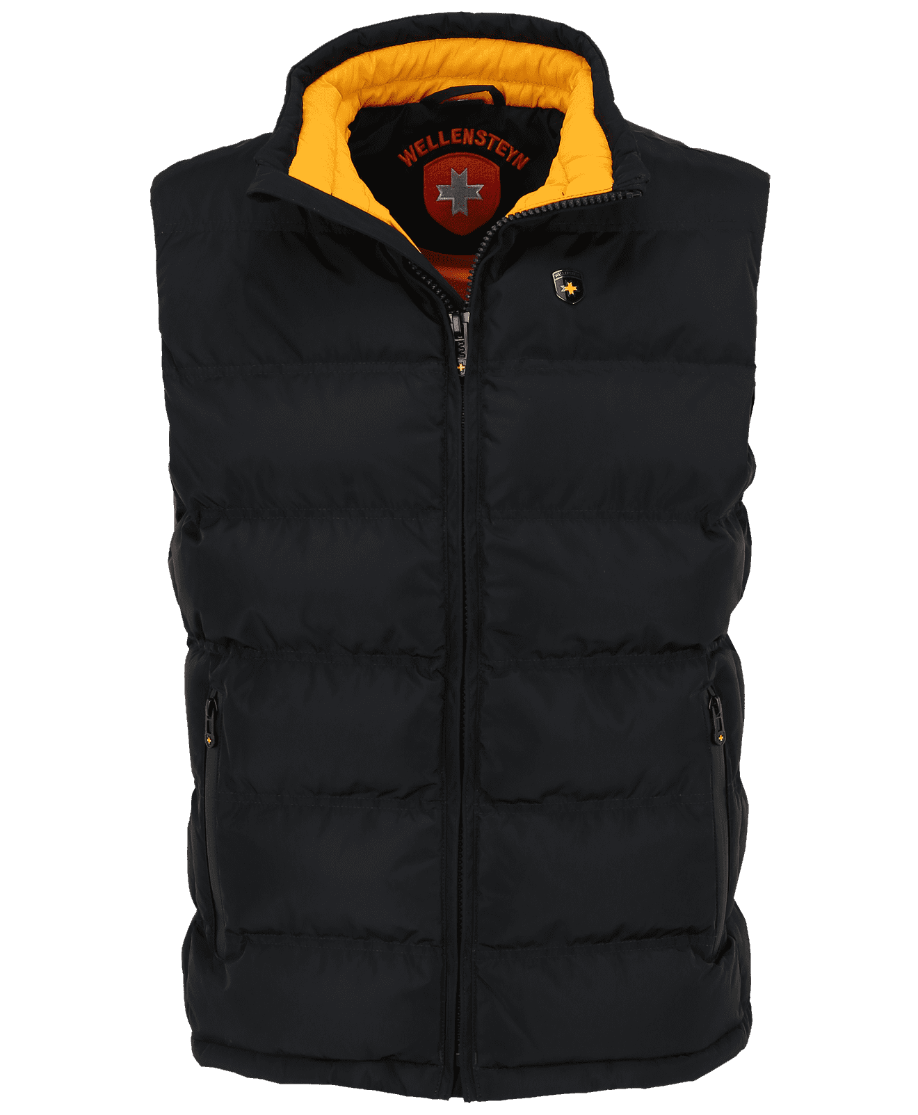 Snowdome Vest Men