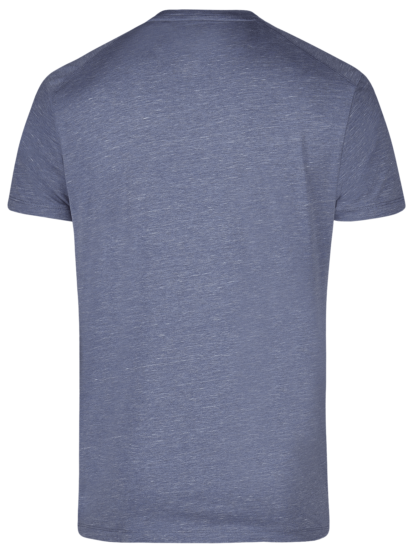 T-shirt Men OTMSR, 972, Greybluemelange