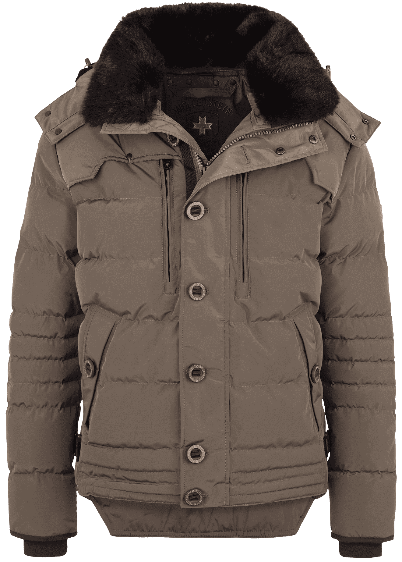 Starstream,382, Walnut