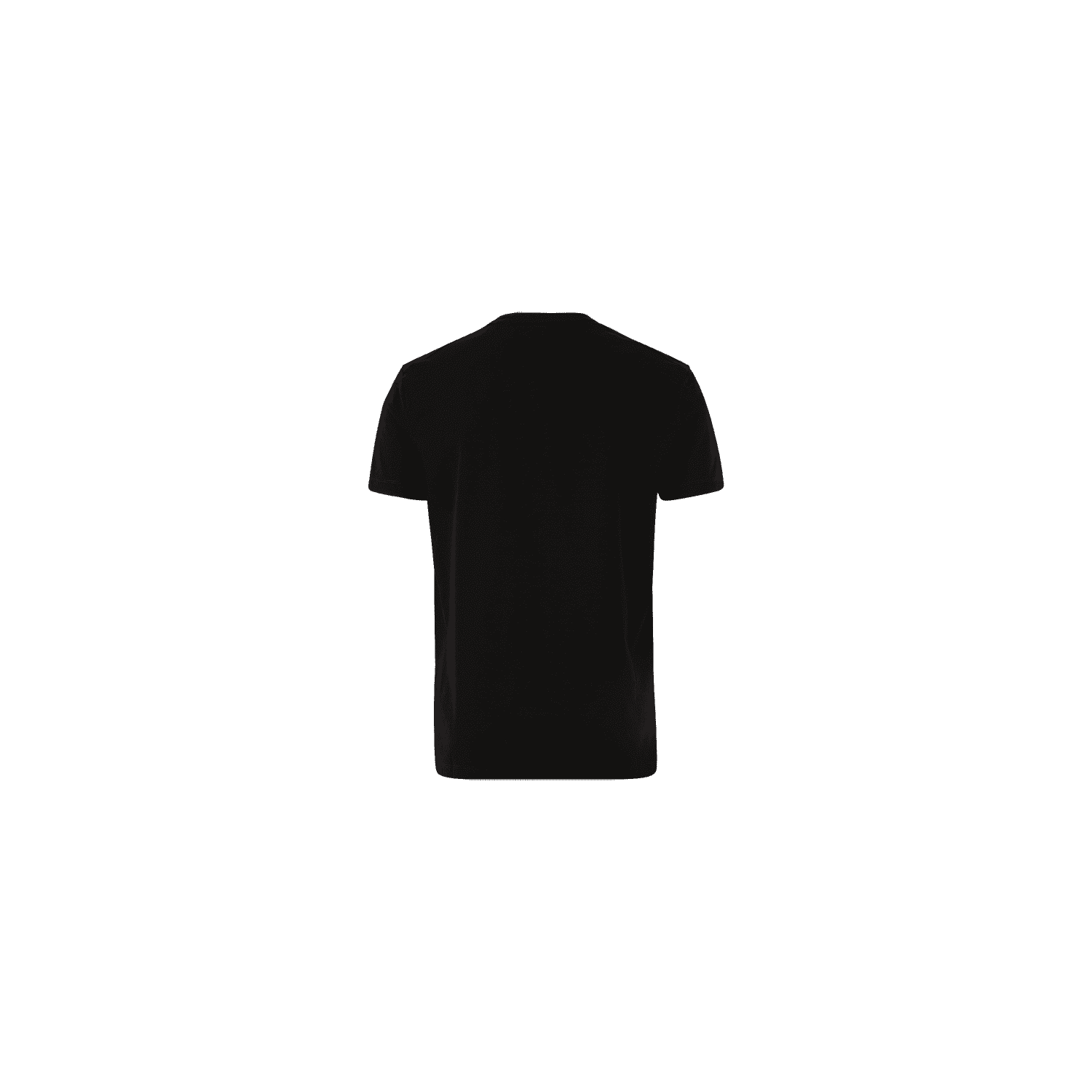 T-Shirt Men PTMSR, 970, Schwarz